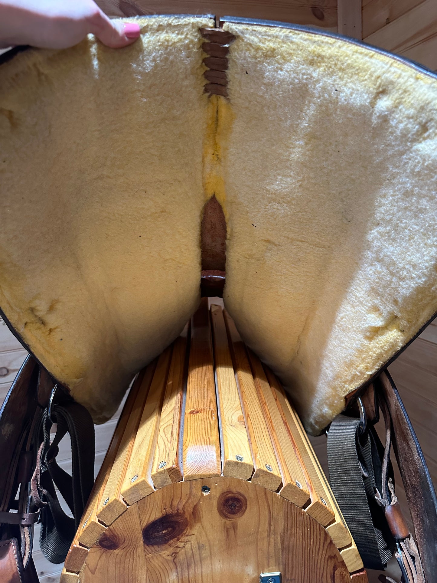 13” Circle Y Youth Western Show Saddle Model 3491