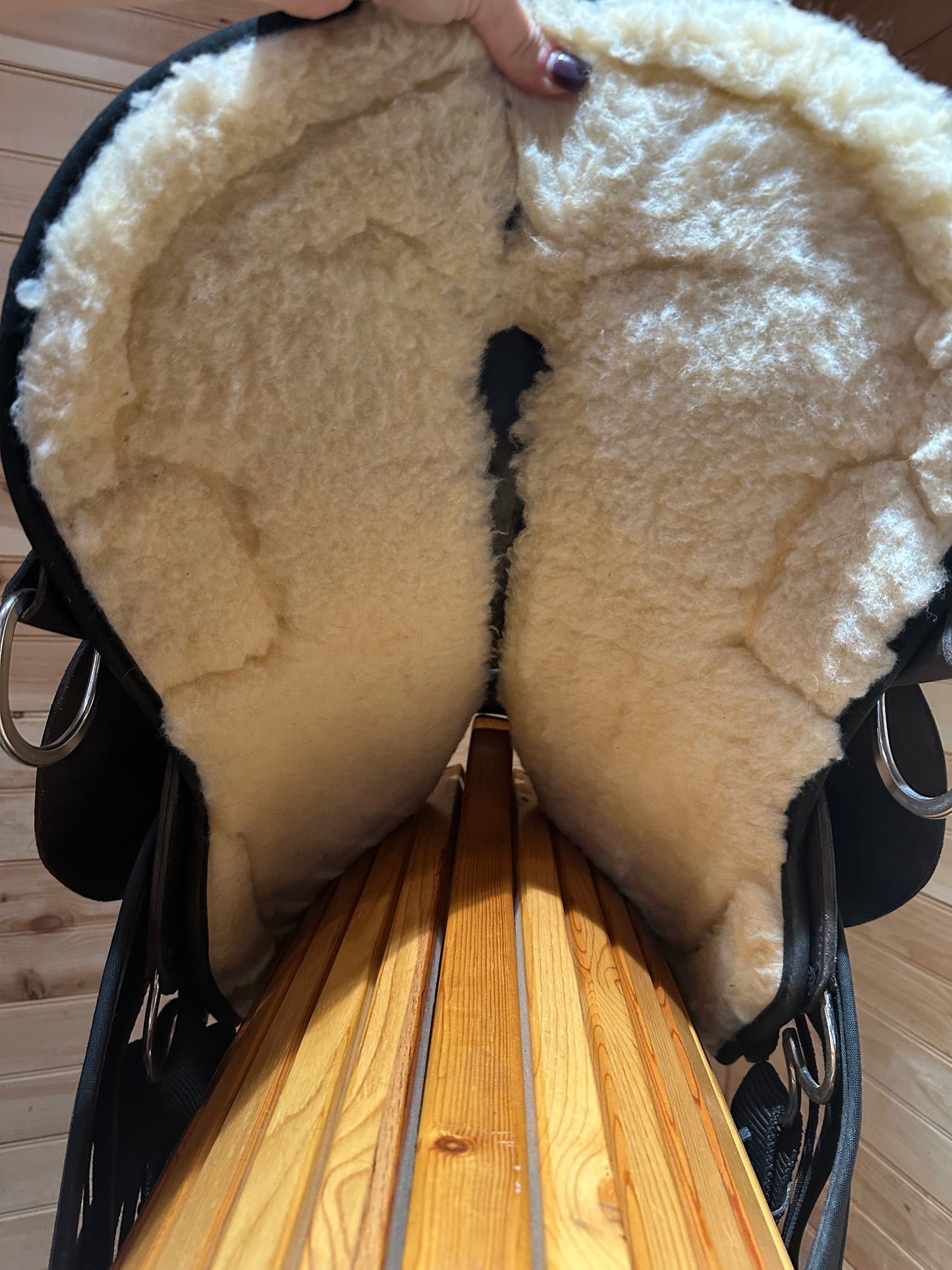 15” Circle Y High Horse Daisetta Trail Saddle Model 6914 (2021 Year)