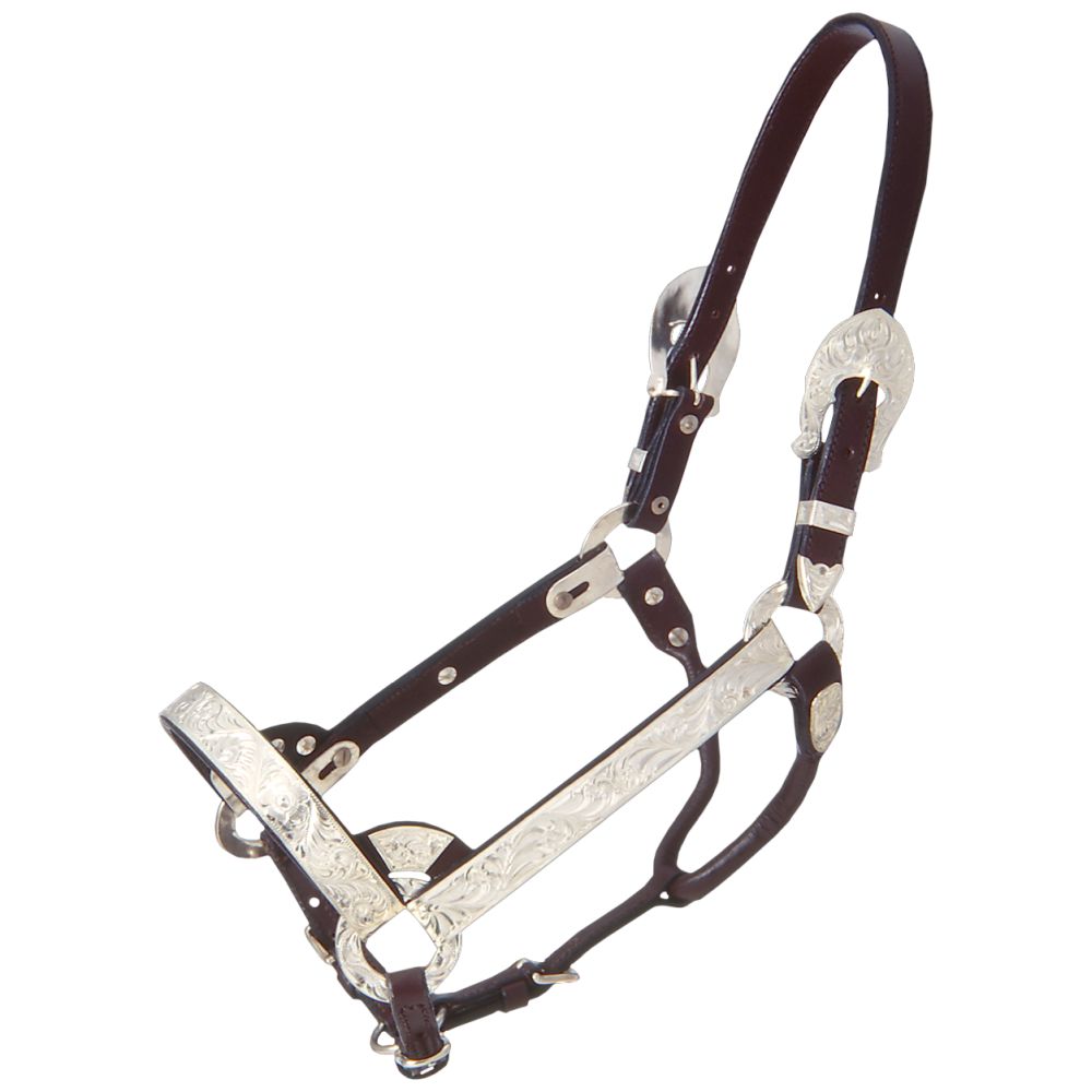 Royal King Deluxe Silver Show Halter - Full