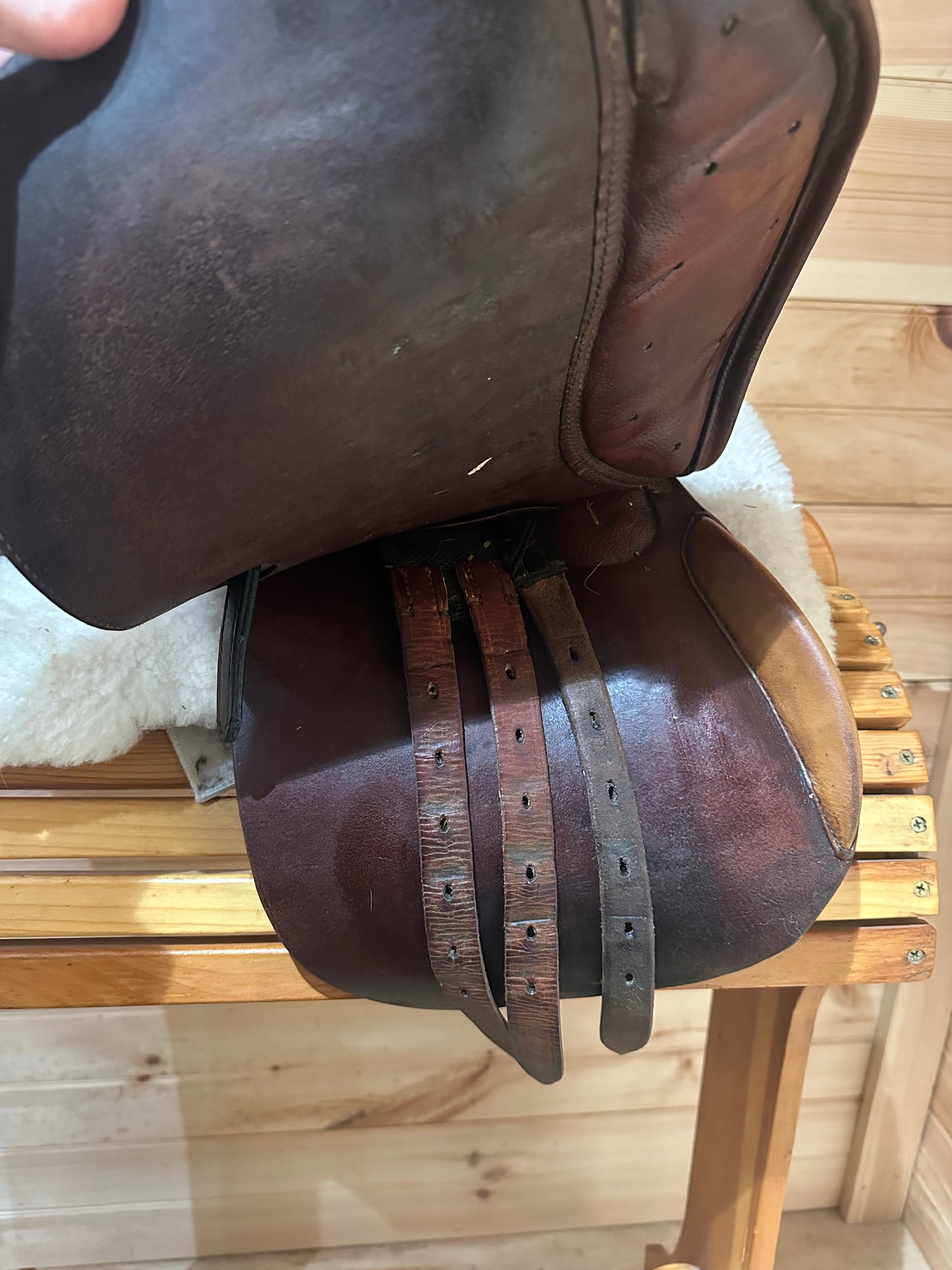 16” Collegiate Children’s Close Contact Saddle