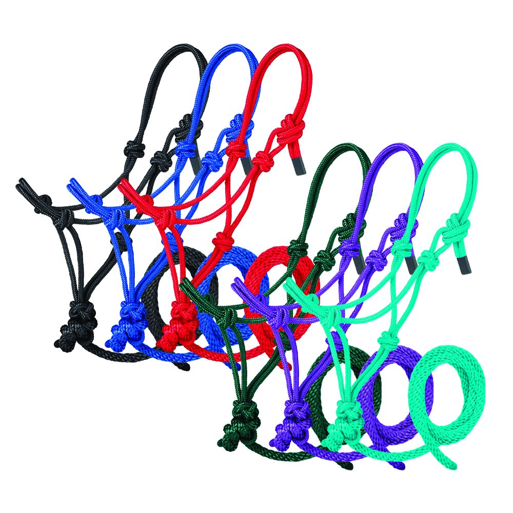 Tough1 Miniature Poly Rope Halter with Lead - 6 Pack
