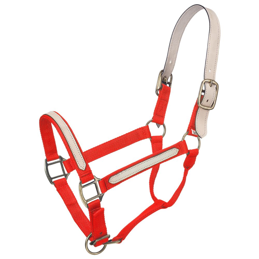 Tough1 Nylon Breakaway Halter