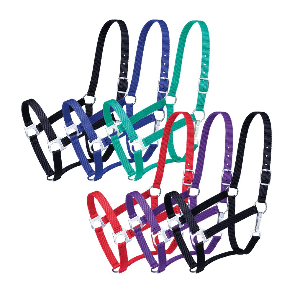 Tough1 Economy Horse Halter - 6 Pack