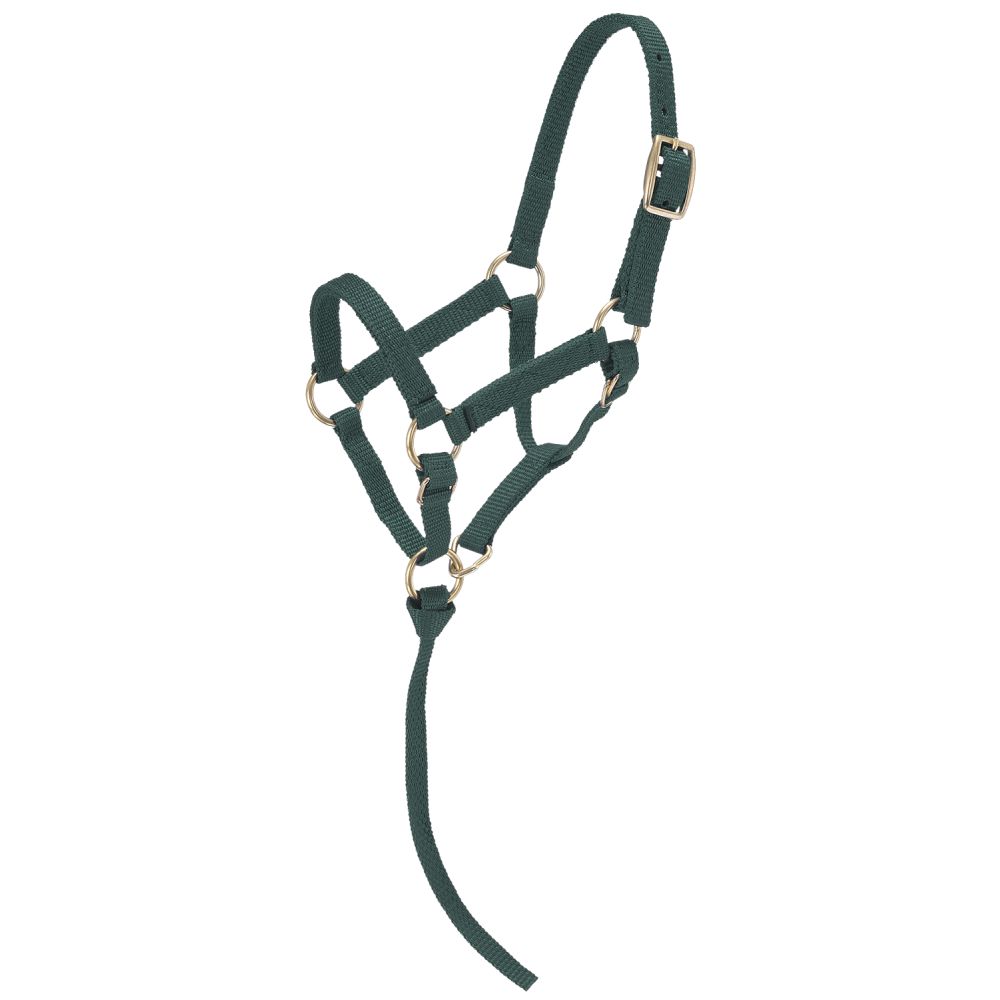 Tough1 Miniature Nylon Halter