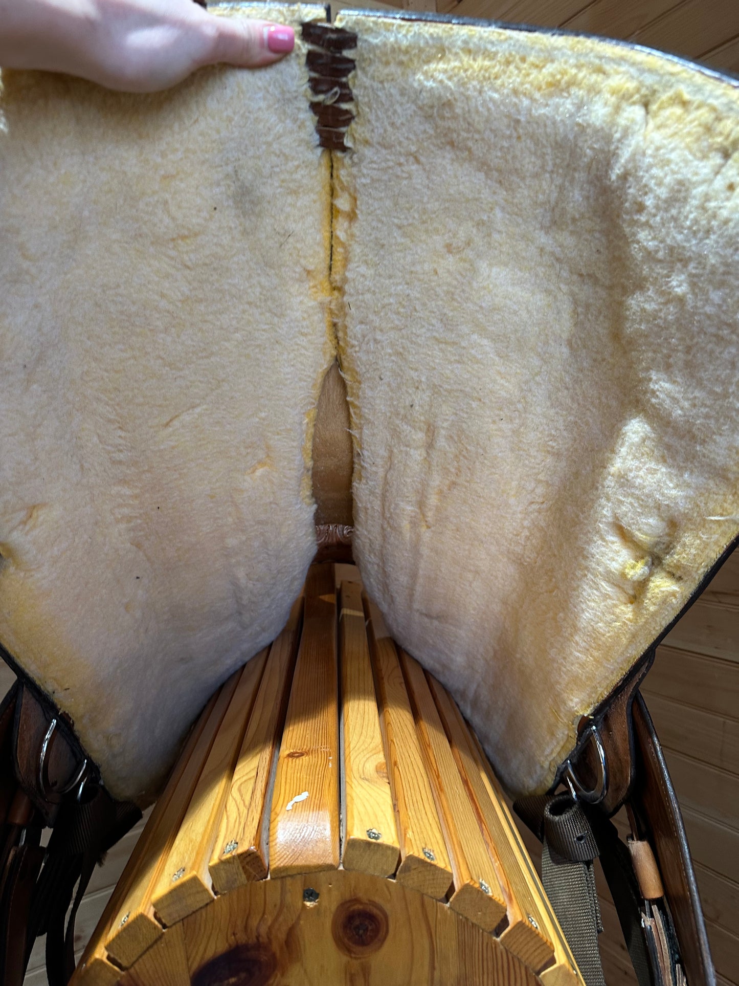 15” Circle Y Western Show Saddle Model 3974 w/ Matching Tack Set