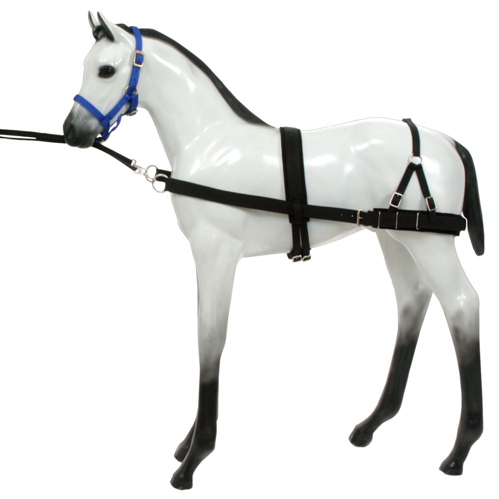 Tough1 Foal Training Device