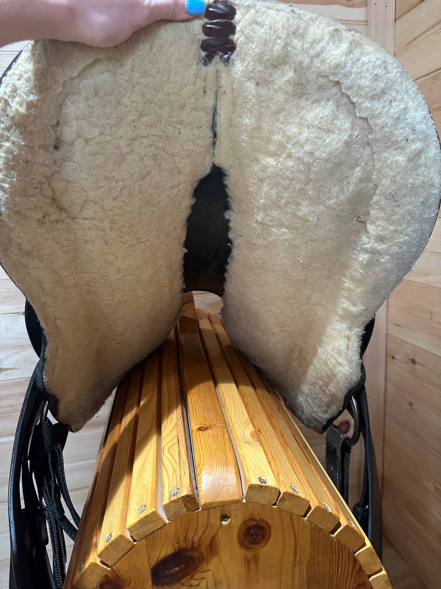 15.5” Premier Saddlery Endurance Trail Saddle