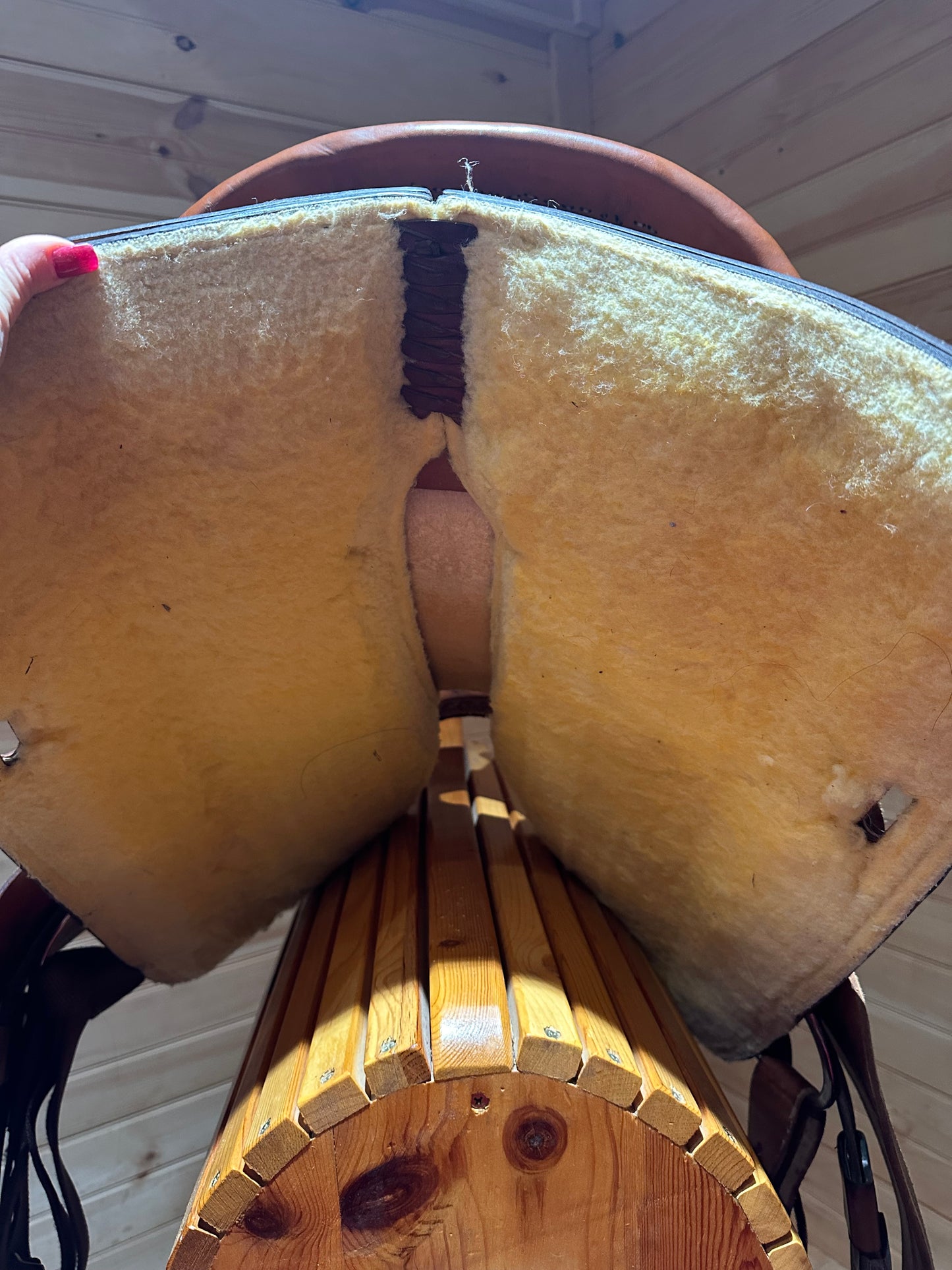 15” Circle Y Proven Barrel Racing Western Saddle Model 3649