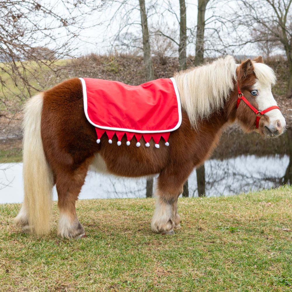 Tough1 Mini Santa English Saddle Pad Cover