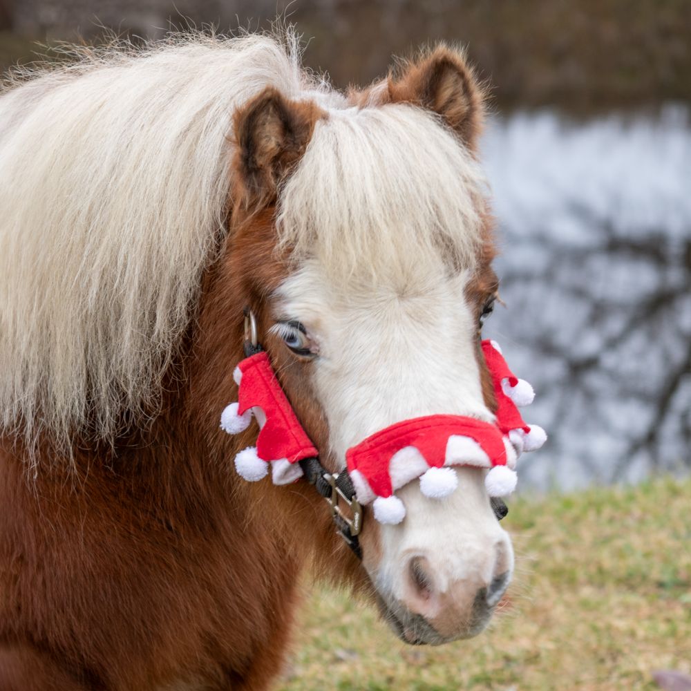 Tough1 Mini Santa Halter Covers - 3 Piece Set