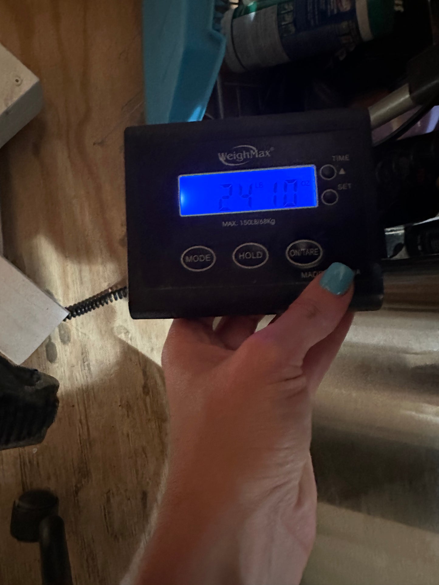 15.5” National Bridle Shop Gaited Western Trail Saddle Model 6981