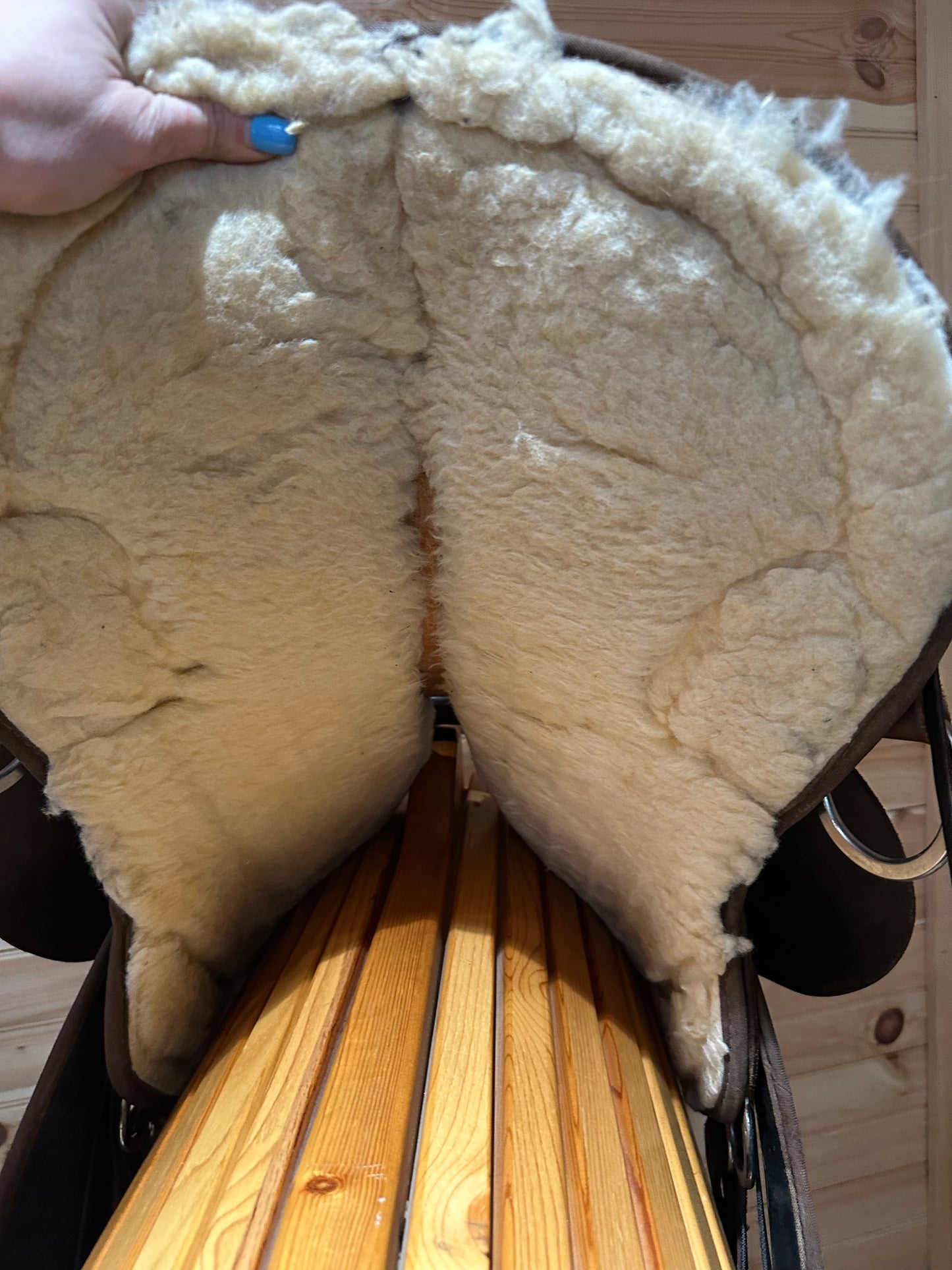 17” Circle Y High Horse El Campo Gaited Western Trail Saddle Model 6970