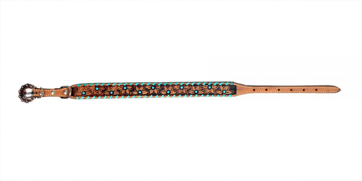 Showman Couture Genuine leather dog collar with teal rawhide