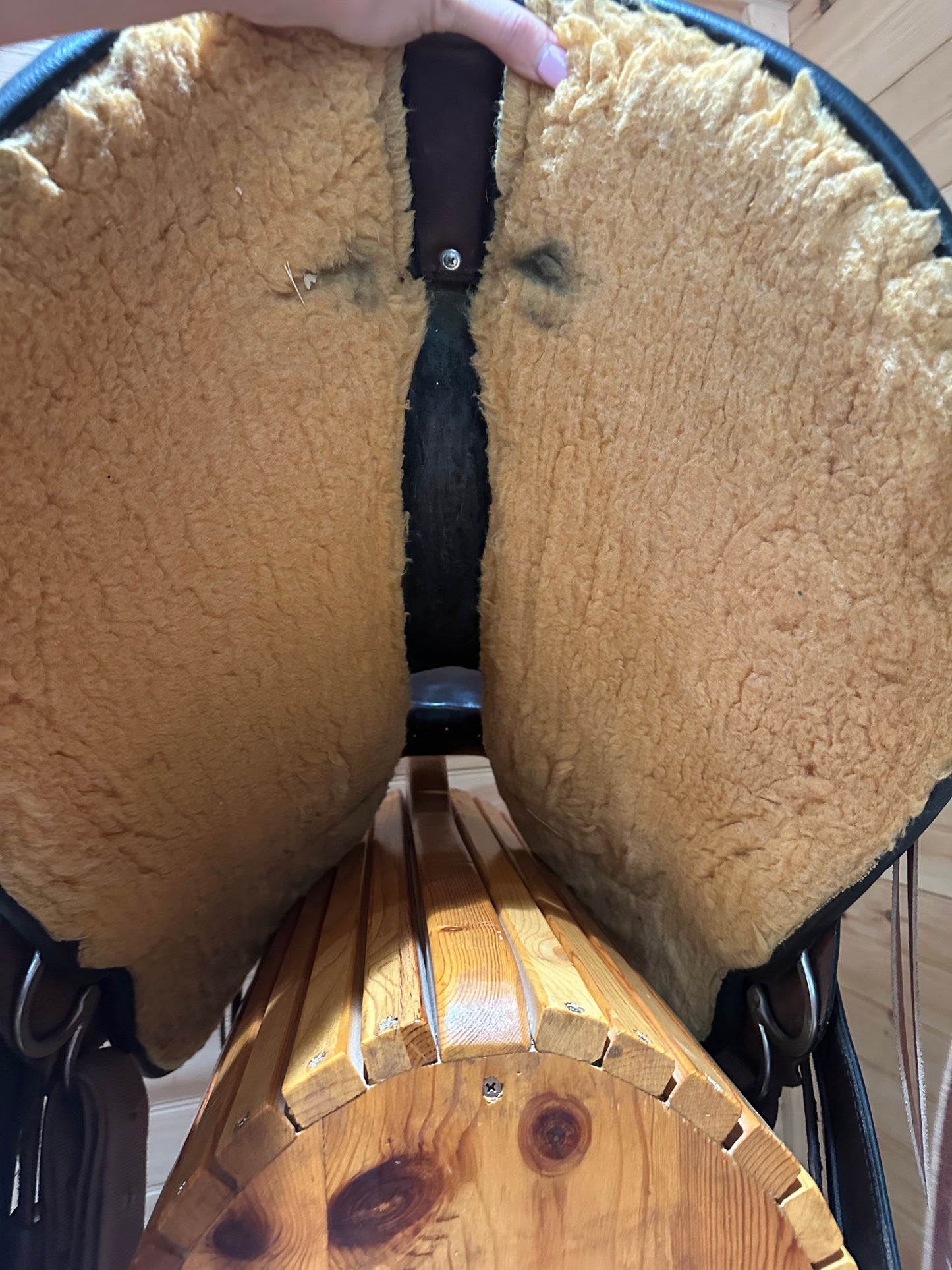 16” Circle Y Omaha Flex2 Western Trail Saddle Model 1554