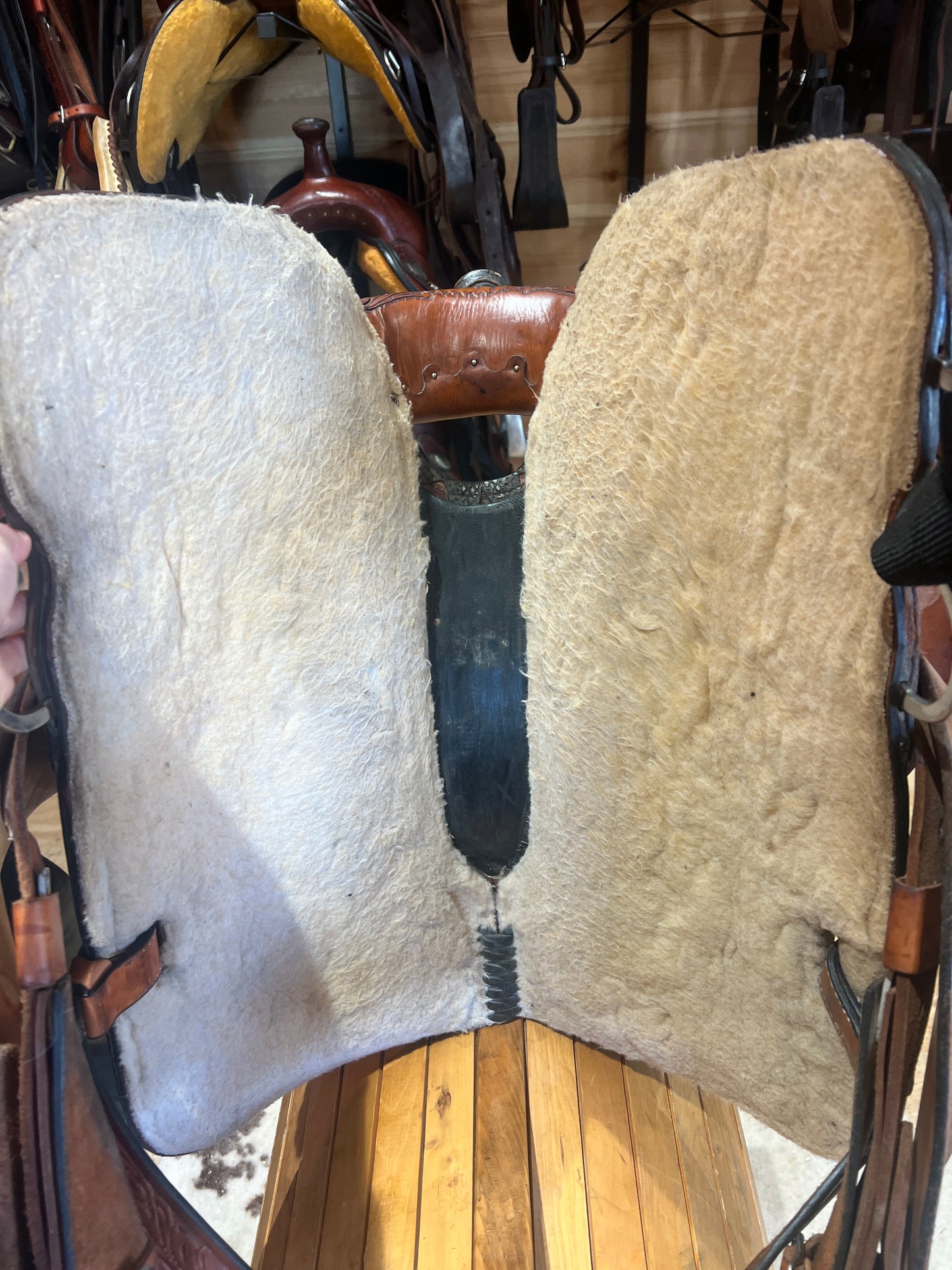 16” Circle Y High Horse Jewel Western Barrel Saddle Model 6224 (2017)