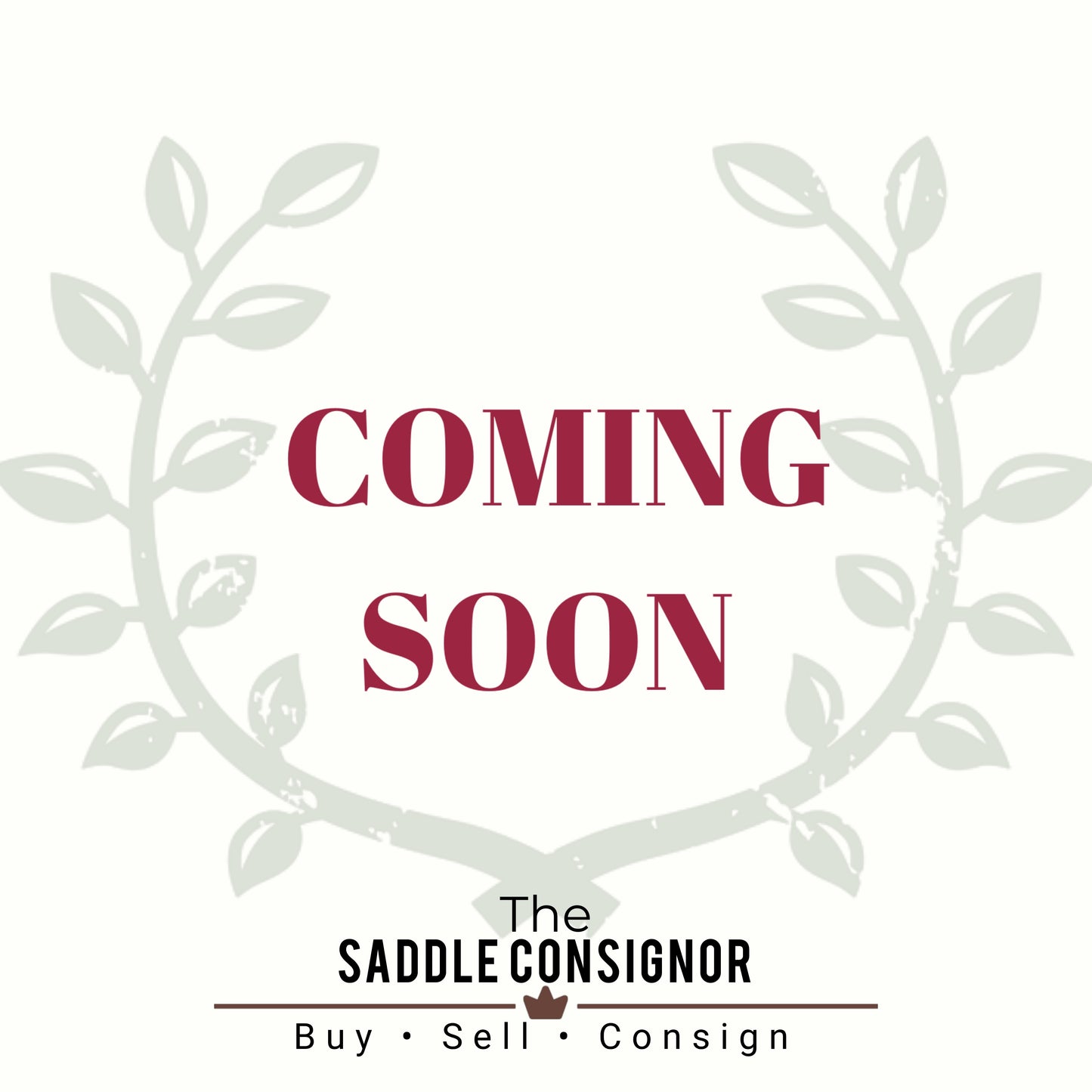 17” Circle Y Park & Trail Western Saddle