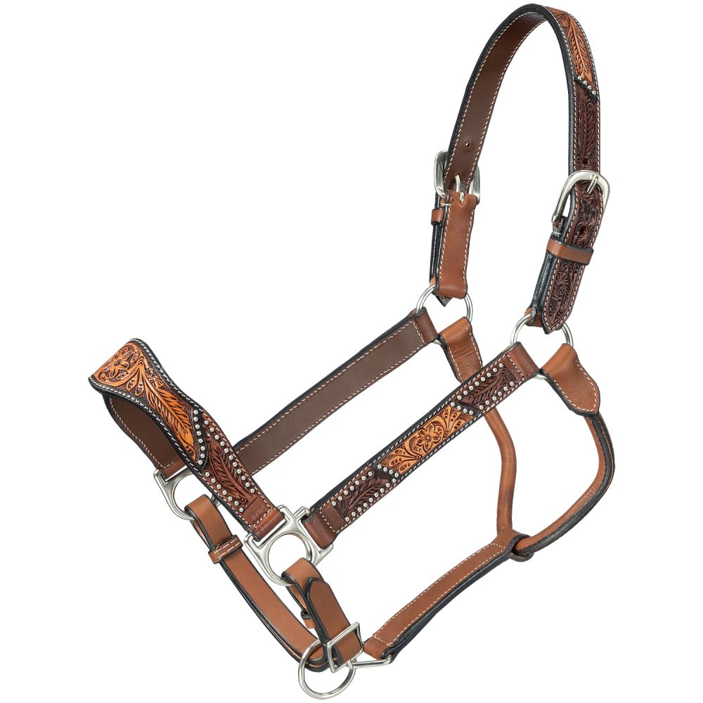 Halters & Leads