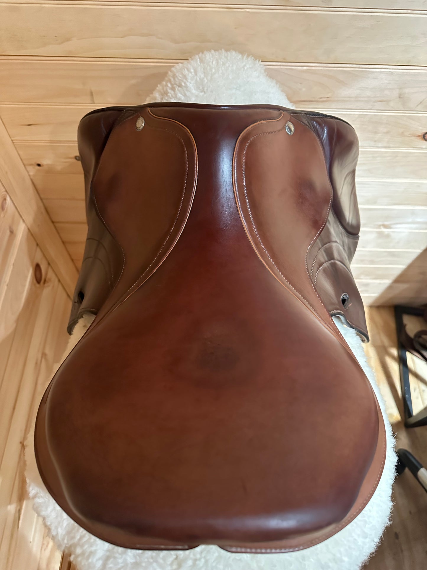 16.5” Equipe Expression Pony Saddle