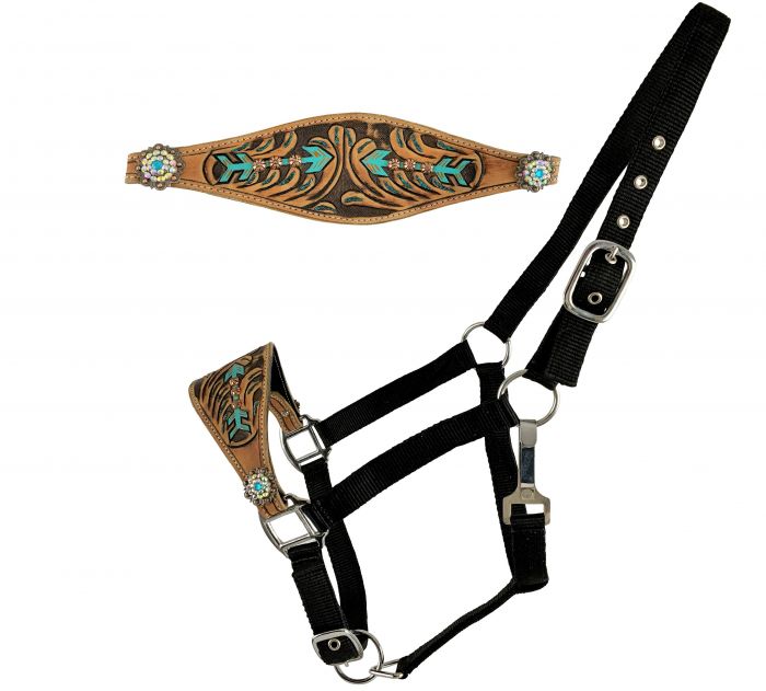 Teal Arrow Medium Oil Bronc Halter on Adjustable nylon