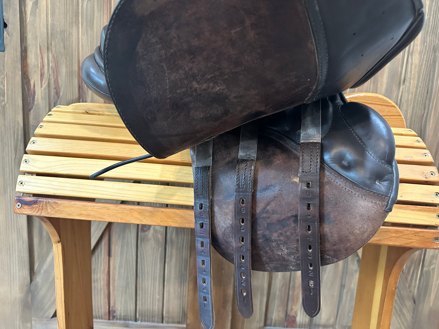 15.5” Arabian Saddle Company Elan Close contact Hunt Saddle (Extra-Wide)