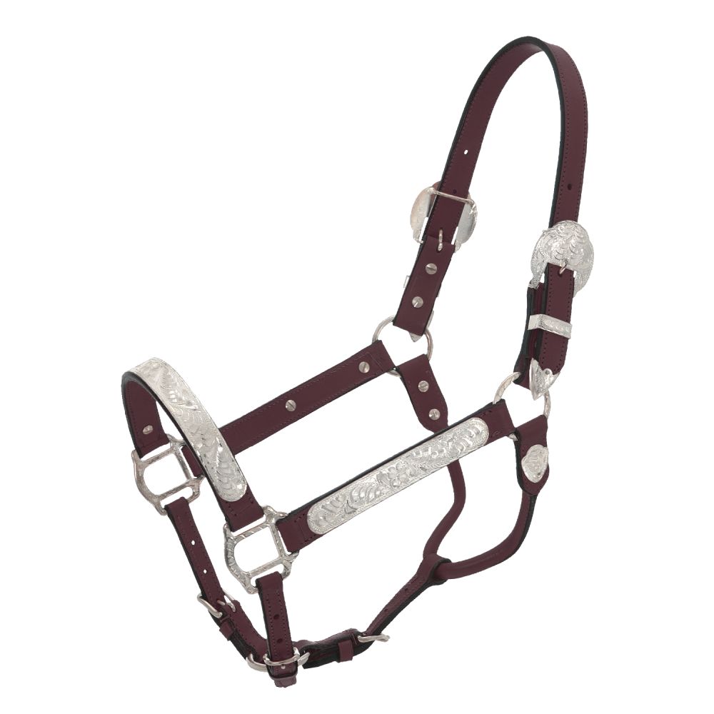 Royal King Silver Show Halter