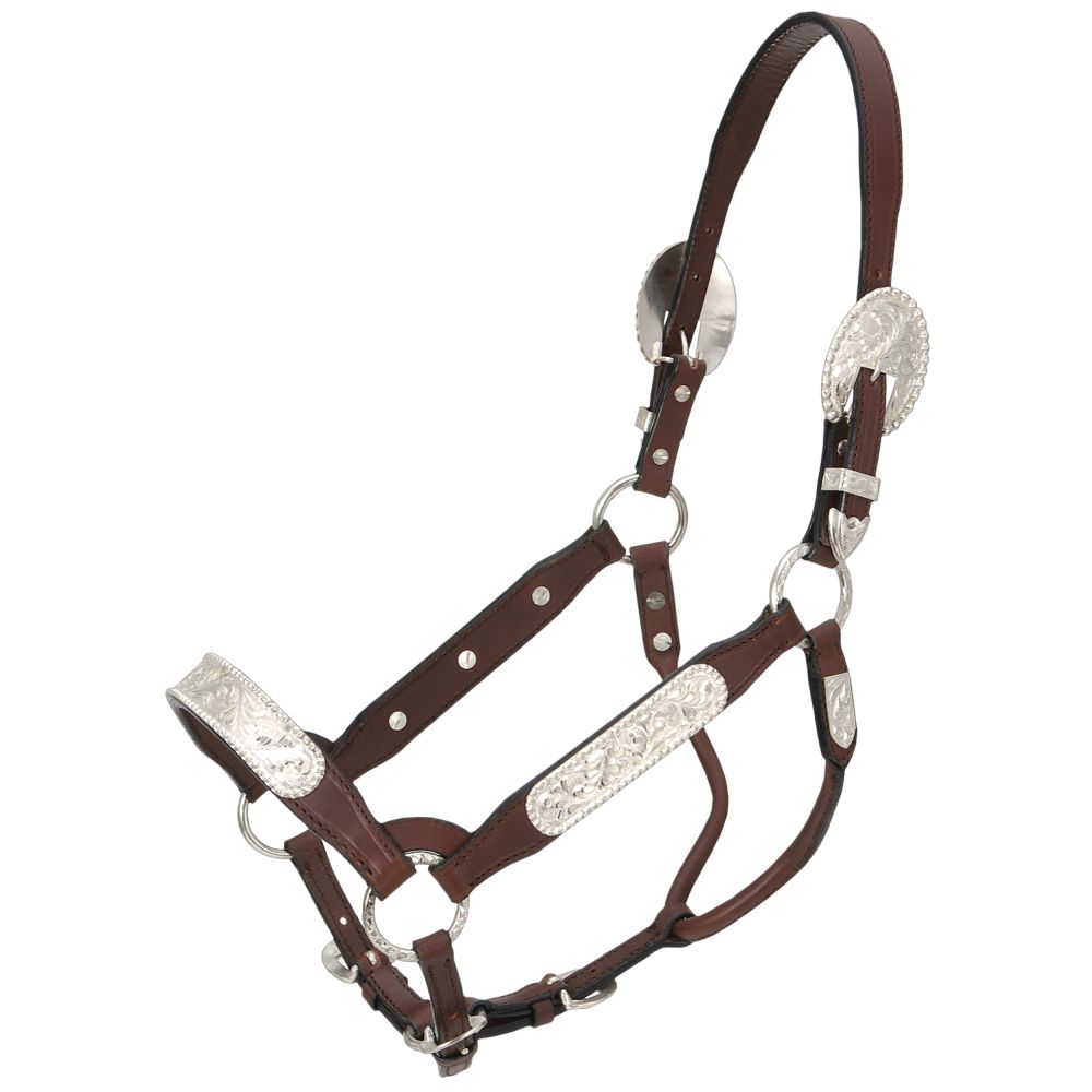 Royal King Berry Edge Congress Show Halter - Full