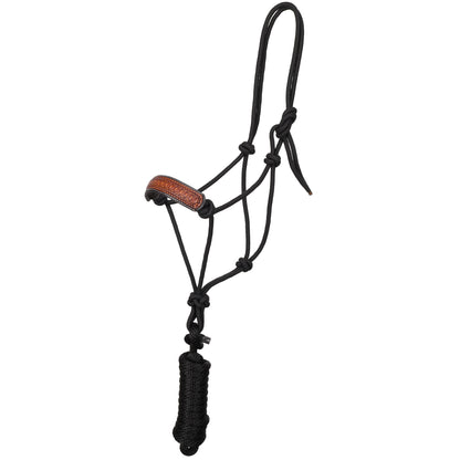 Mesa Stamp Leather Noseband Cowboy Knot Halter with Lead