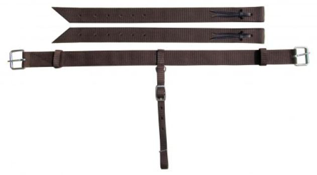 Showman Horse Sized nylon back cinch with roller buckles