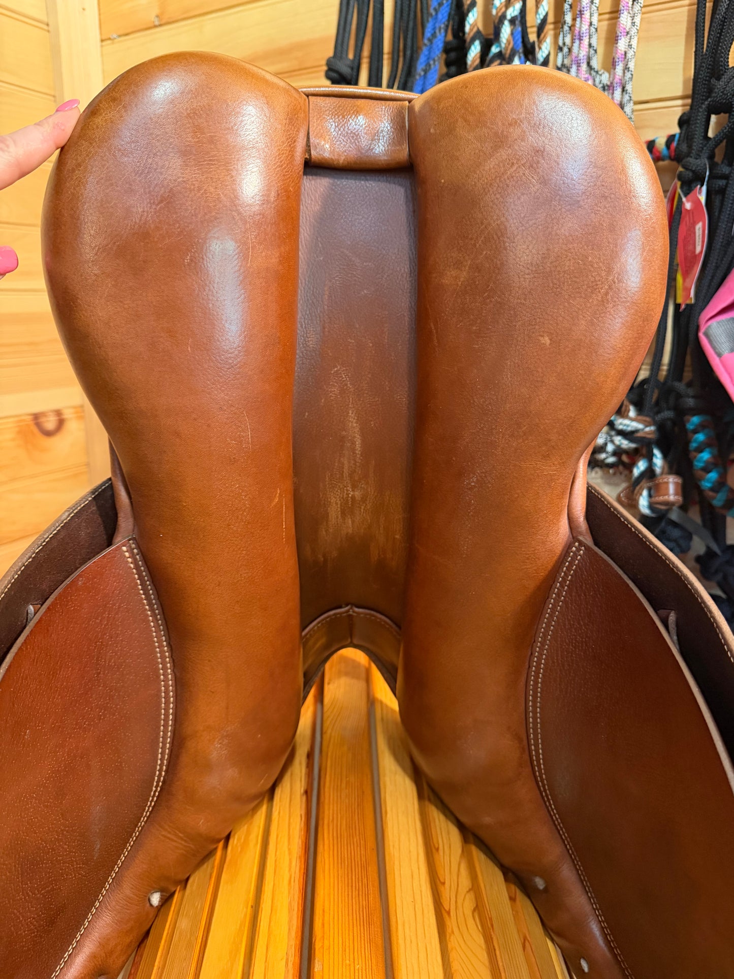 17” Collegiate Convertible Saddle- Easy Change Gullet