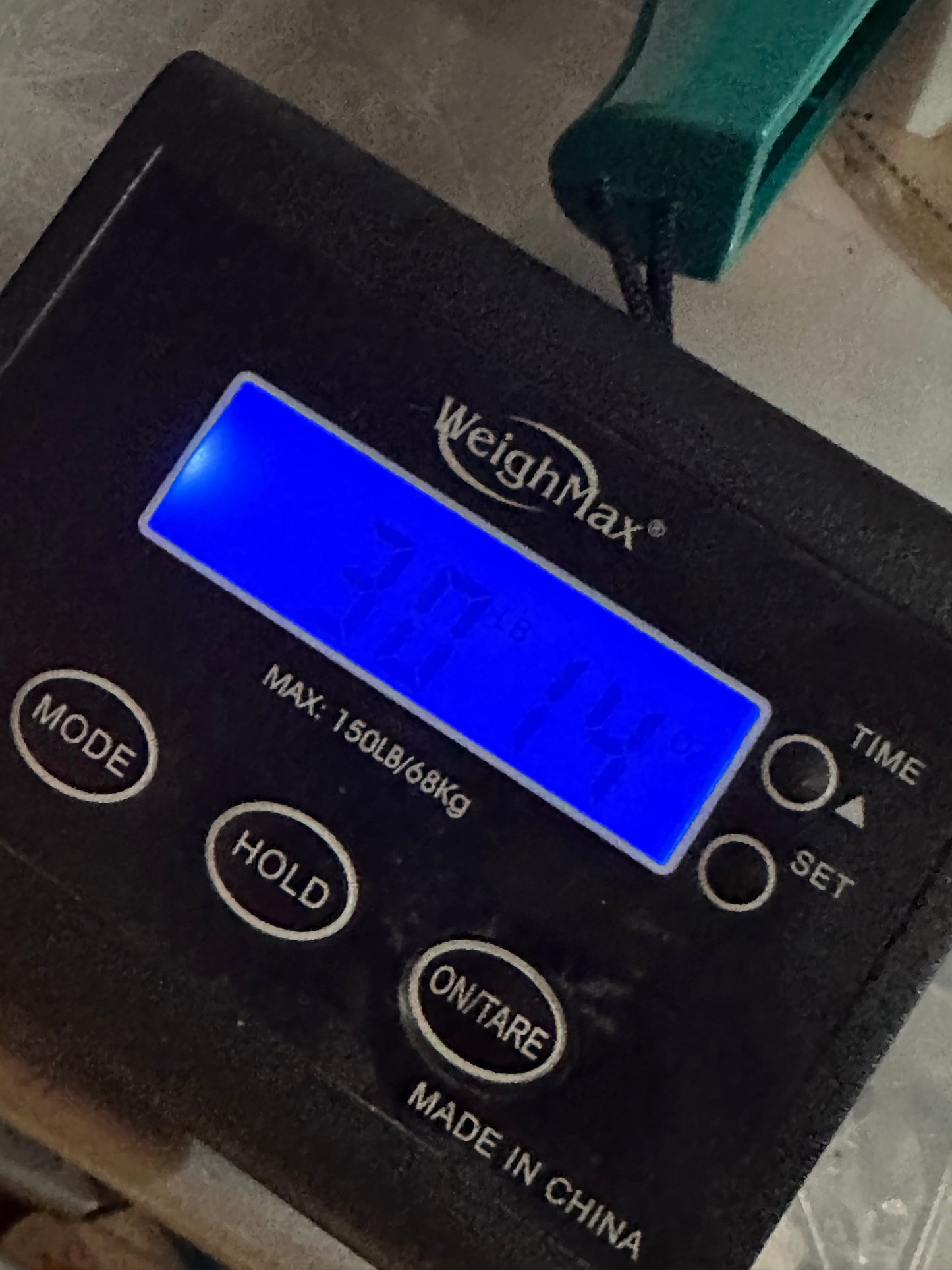 15.5” Bona Allen Western Roping Saddle Model 9233