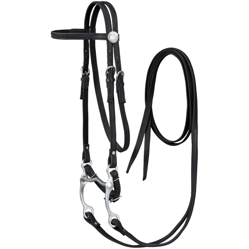 King Series Nylon Browband Bridle with Leather Overlay