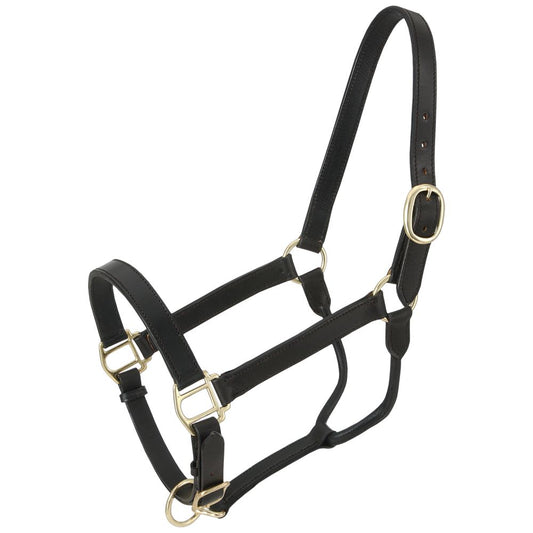 Royal King Leather Stable Halter