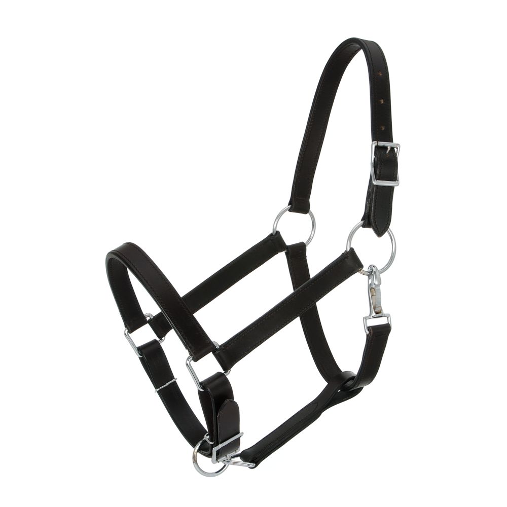 Royal King Draft Horse Stable Halter – The Saddle Consignor