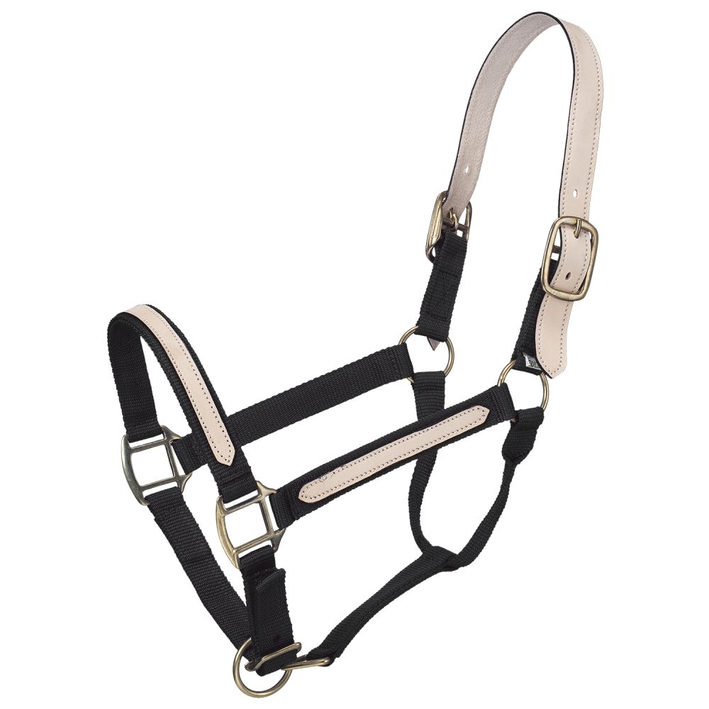 Tough1 Nylon Breakaway Halter