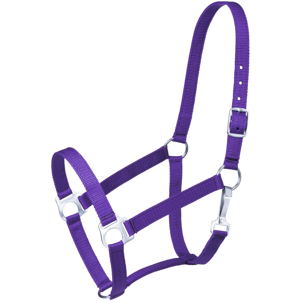 Tough1 Economy Pony Halter