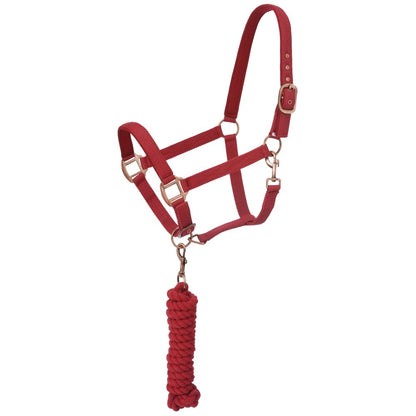 Tough1 Padded Horse Halter with Antique Hardware and Lead Rope