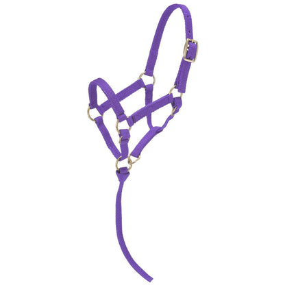 Tough1 Miniature Nylon Halter