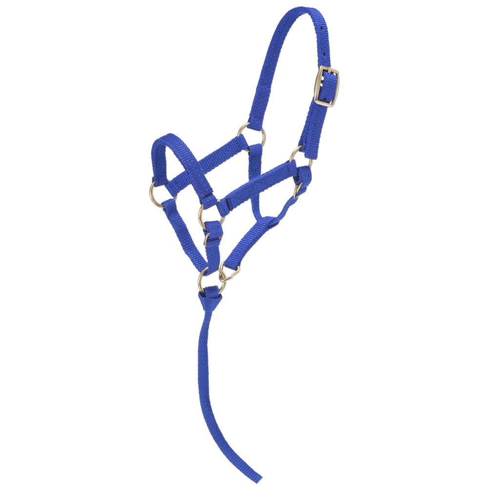Tough1 Miniature Nylon Halter