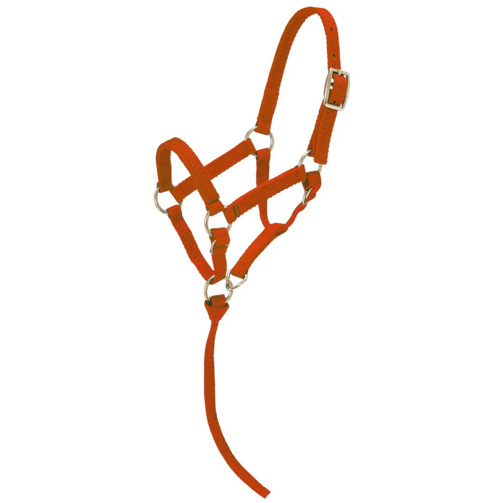 Tough1 Miniature Nylon Halter