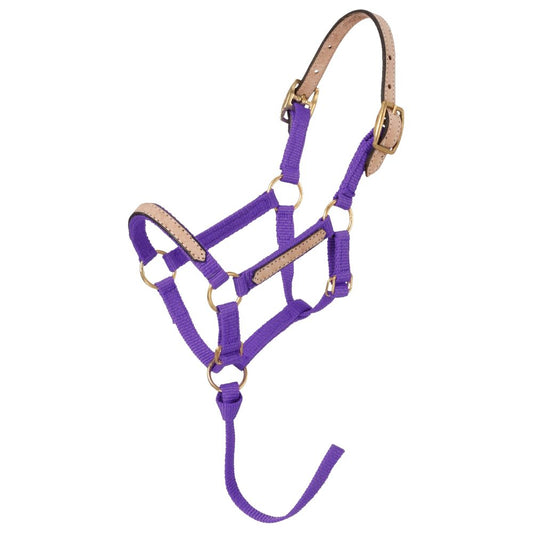 Tough1 Miniature Nylon Breakaway Halter