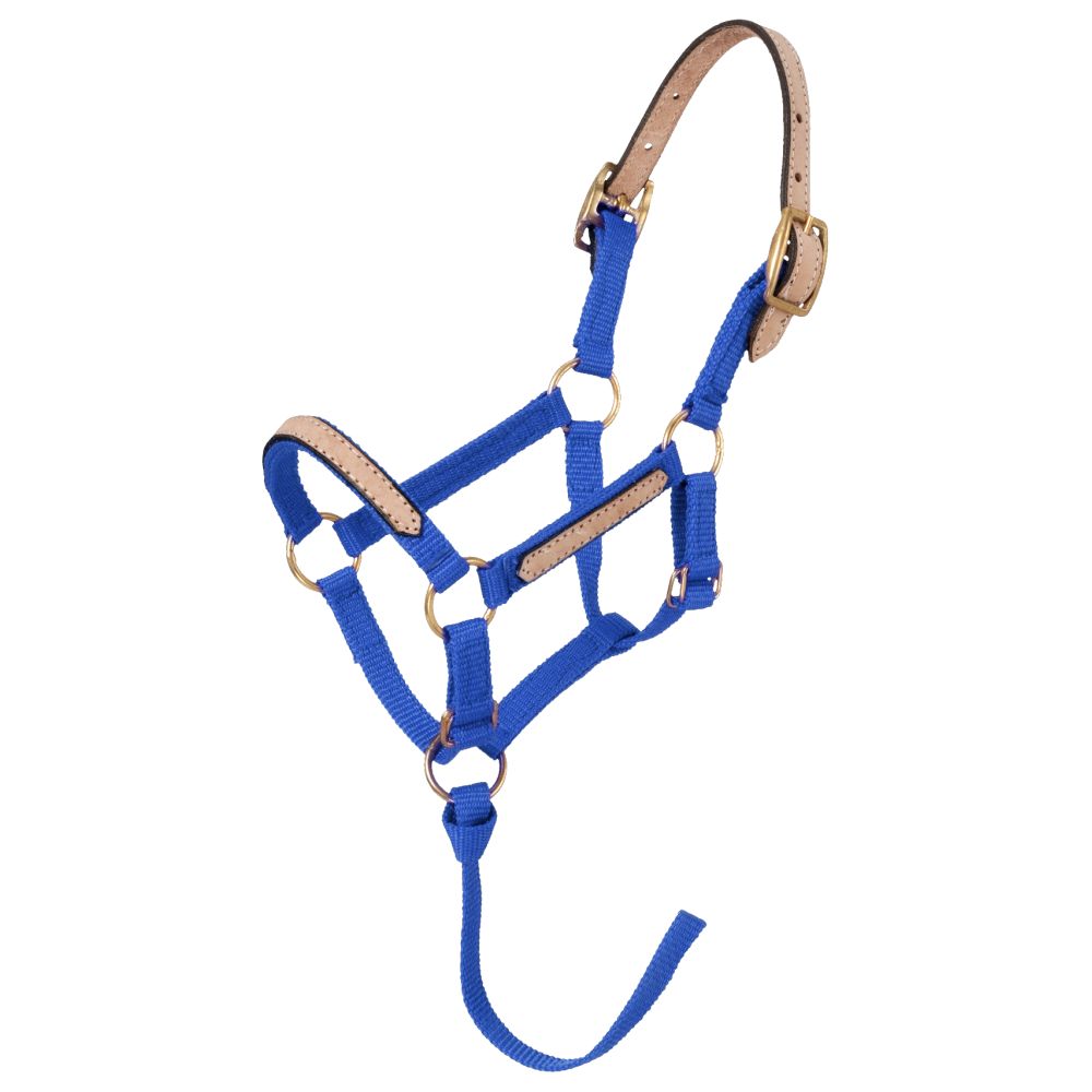 Tough1 Miniature Nylon Breakaway Halter