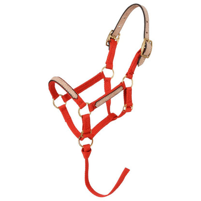 Tough1 Miniature Nylon Breakaway Halter