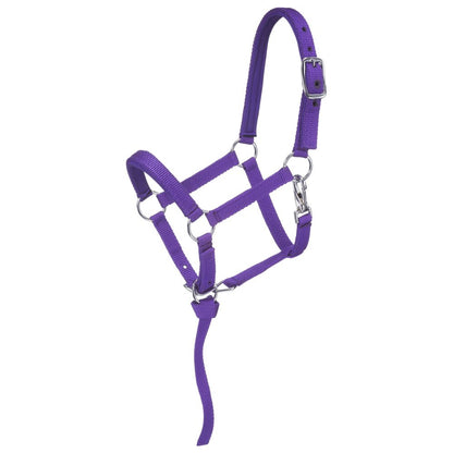 Tough1 Miniature Nylon Padded Halter