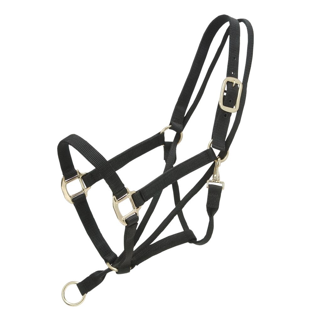 Tough1 Pull-Back Halter