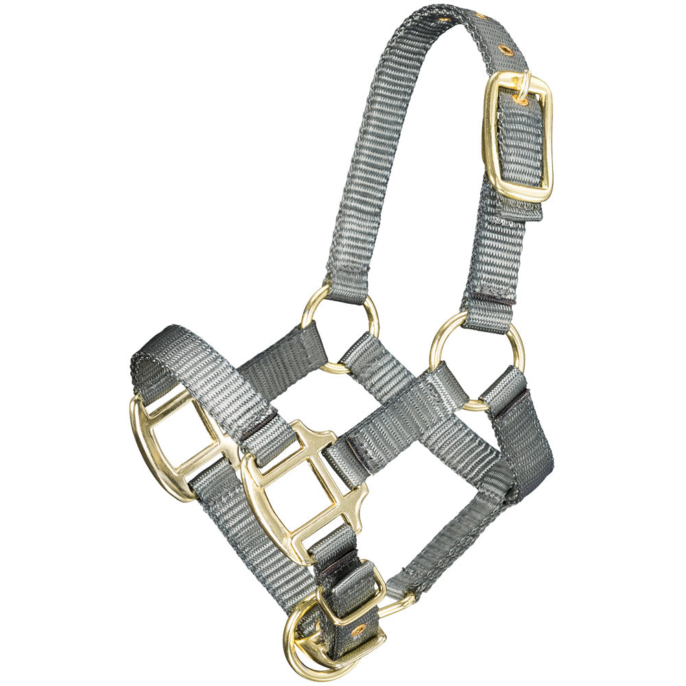 Tough1 Premium Halter - Mini Foal