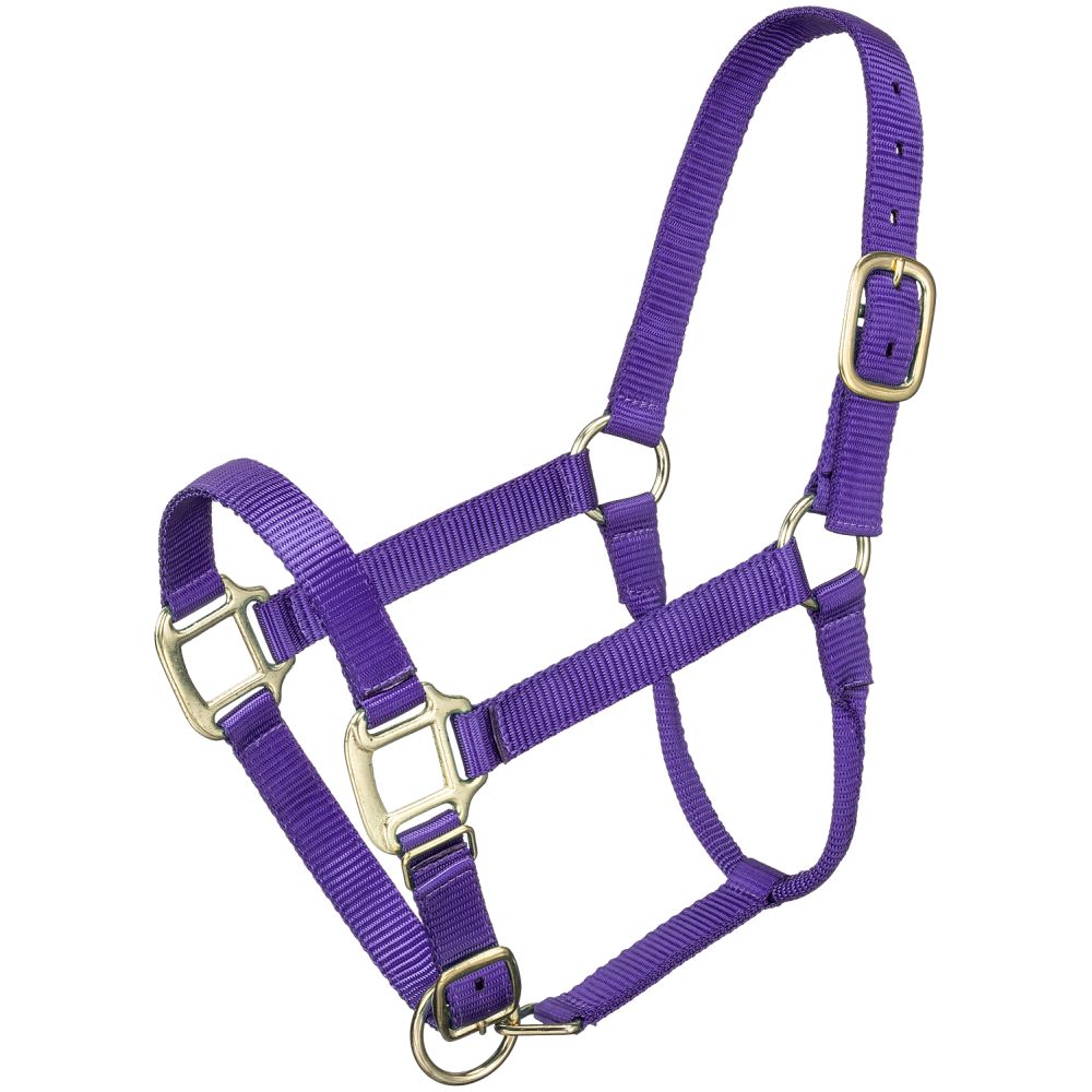 Tough1 Premium Halter - Pony