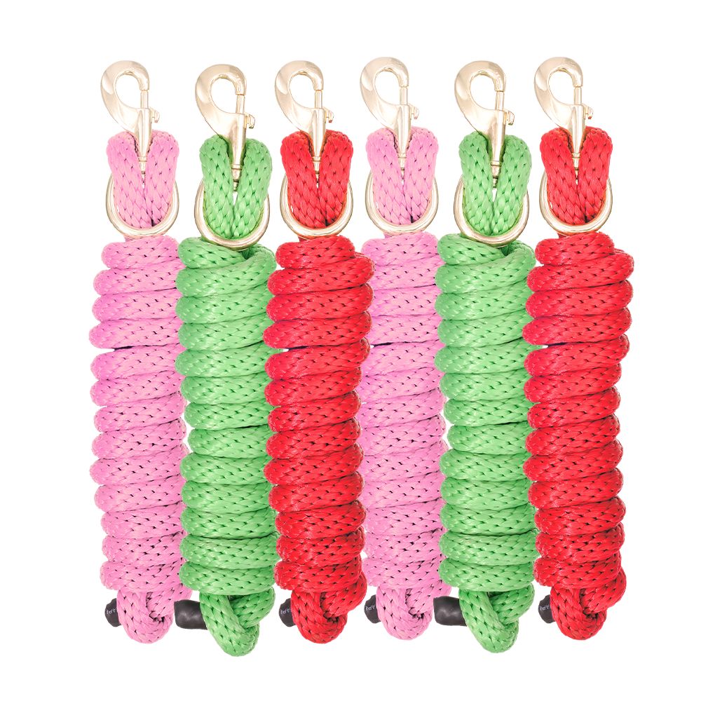 Tough1 Poly Lead with Replaceable Bolt Snap - 6 Pack Bright