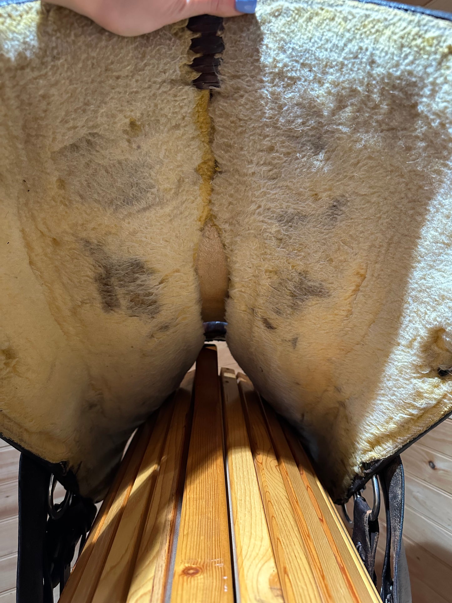 16” Circle Y Park & Trail Western Saddle Model 3625