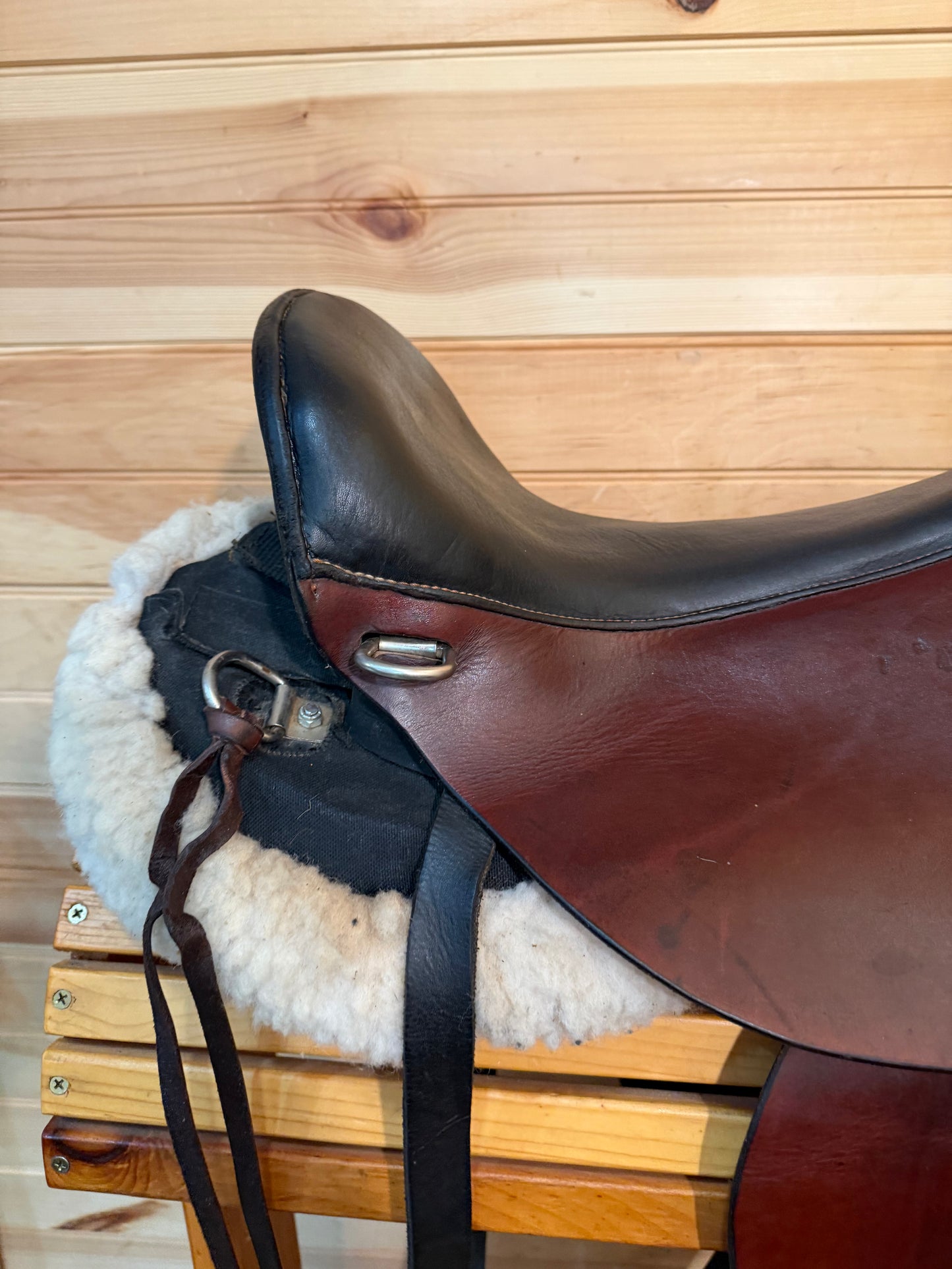 15” Skyhorse Skyrider Hybrid Endurance Saddle