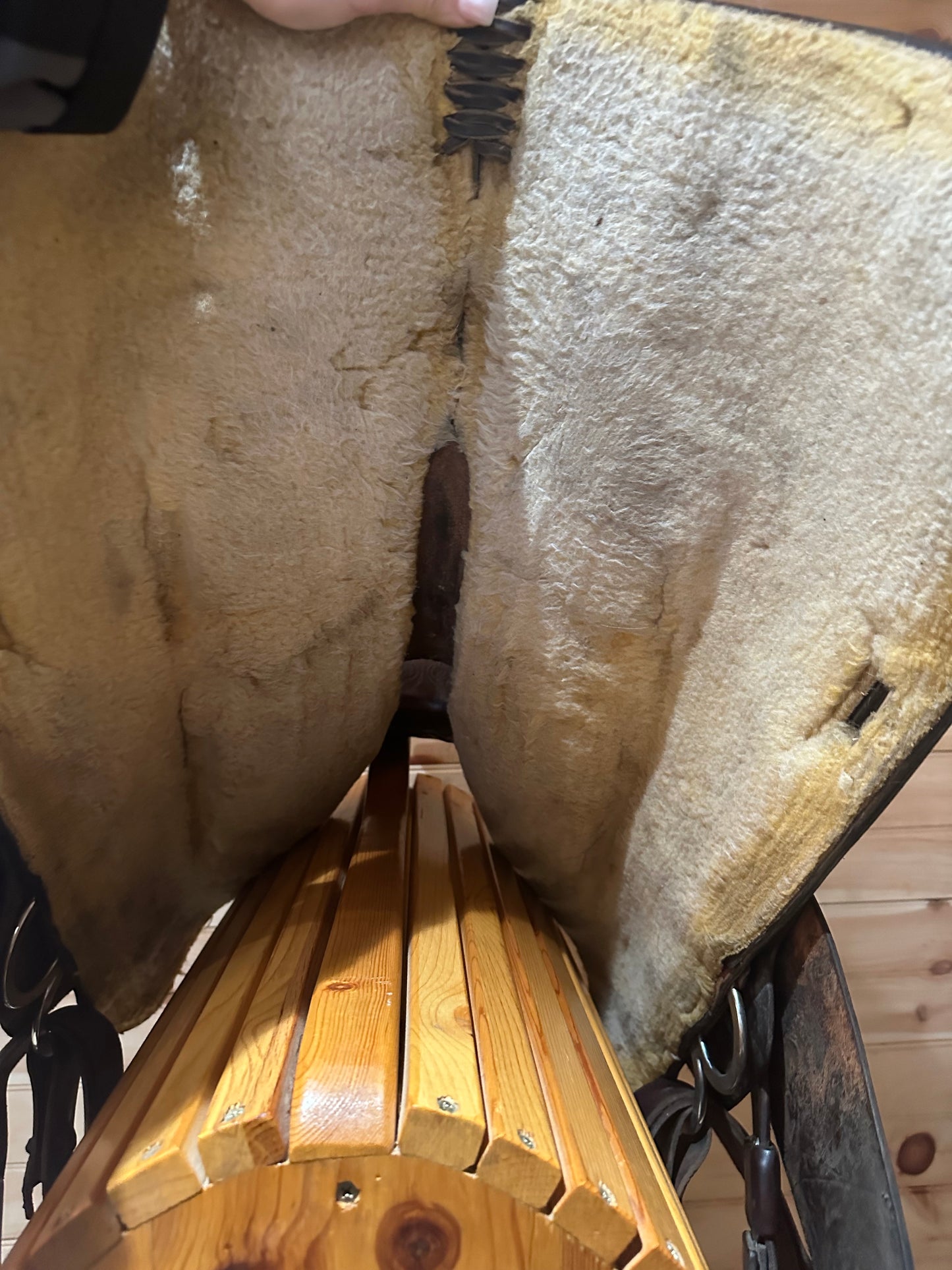 16” Circle Y Western Show Saddle Model 3960